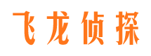 聂荣市调查公司